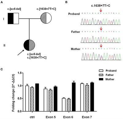 Case Report: A Novel Non-Canonical Splice Site Variant (c.1638+7T>C) in TRPM6 Cause Primary Homagnesemia With Secondary Hocalcemia